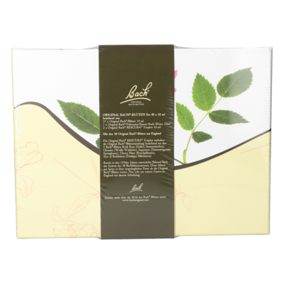 BACHBLÜTEN 10 ml Set Tropfen