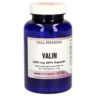 VALIN 500 mg GPH Kapseln
