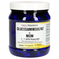GLUCOSAMINSULFAT+MSM 1:1 GPH Kapseln