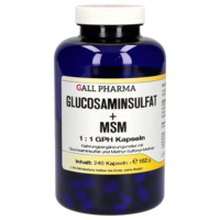 GLUCOSAMINSULFAT+MSM 1:1 GPH Kapseln