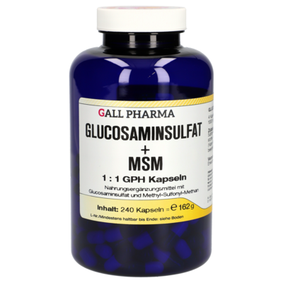 GLUCOSAMINSULFAT+MSM 1:1 GPH Kapseln