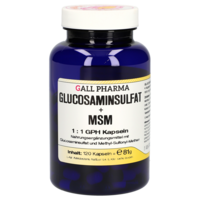 GLUCOSAMINSULFAT+MSM 1:1 GPH Kapseln