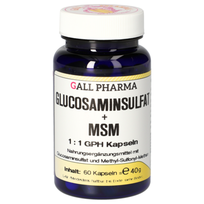 GLUCOSAMINSULFAT+MSM 1:1 GPH Kapseln