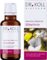 GEMMO-MAZERAT Silberlinde Dr.Koll Tilia tomen.Tro.