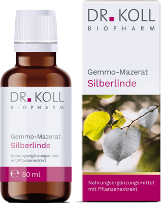 GEMMO-MAZERAT Silberlinde Dr.Koll Tilia tomen.Tro.