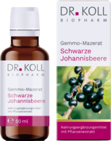 GEMMO-MAZERAT schw.Johannisbeere Dr.Koll Ribes Tro