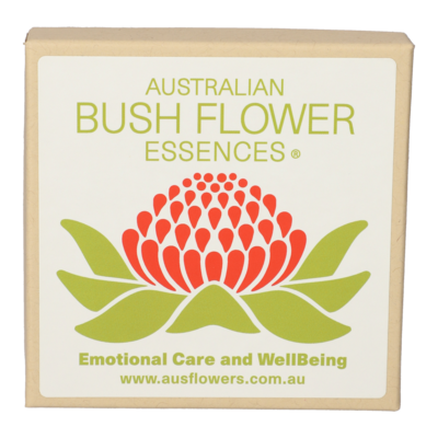 ADULT Angel Pendant light purple glass