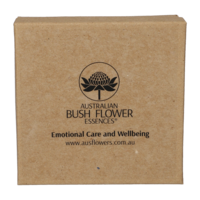 ADULT E Pendant clear glass