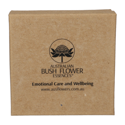 ADULT E Pendant clear glass