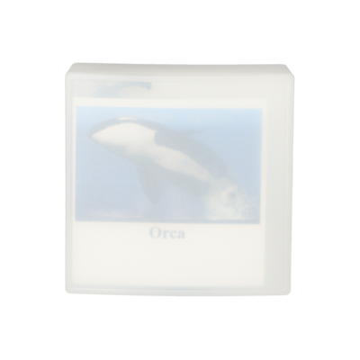 ORCA Wal Anhänger