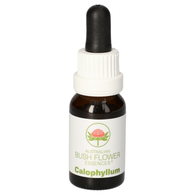 CALOPHYLLUM austral.Buschblütenessenz AUB Tropfen