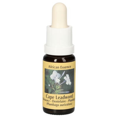 BLEIWURZ Essenz Tropfen